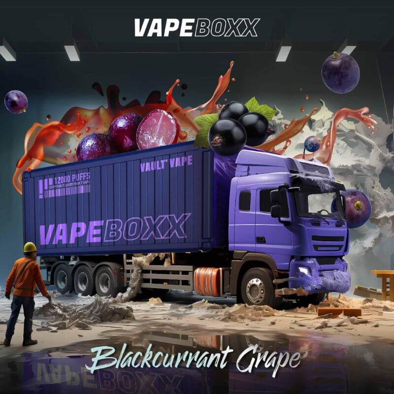 VAPEBOXX 12000 DISPOSABLES