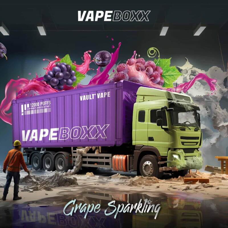 VAPEBOXX 12000 DISPOSABLES