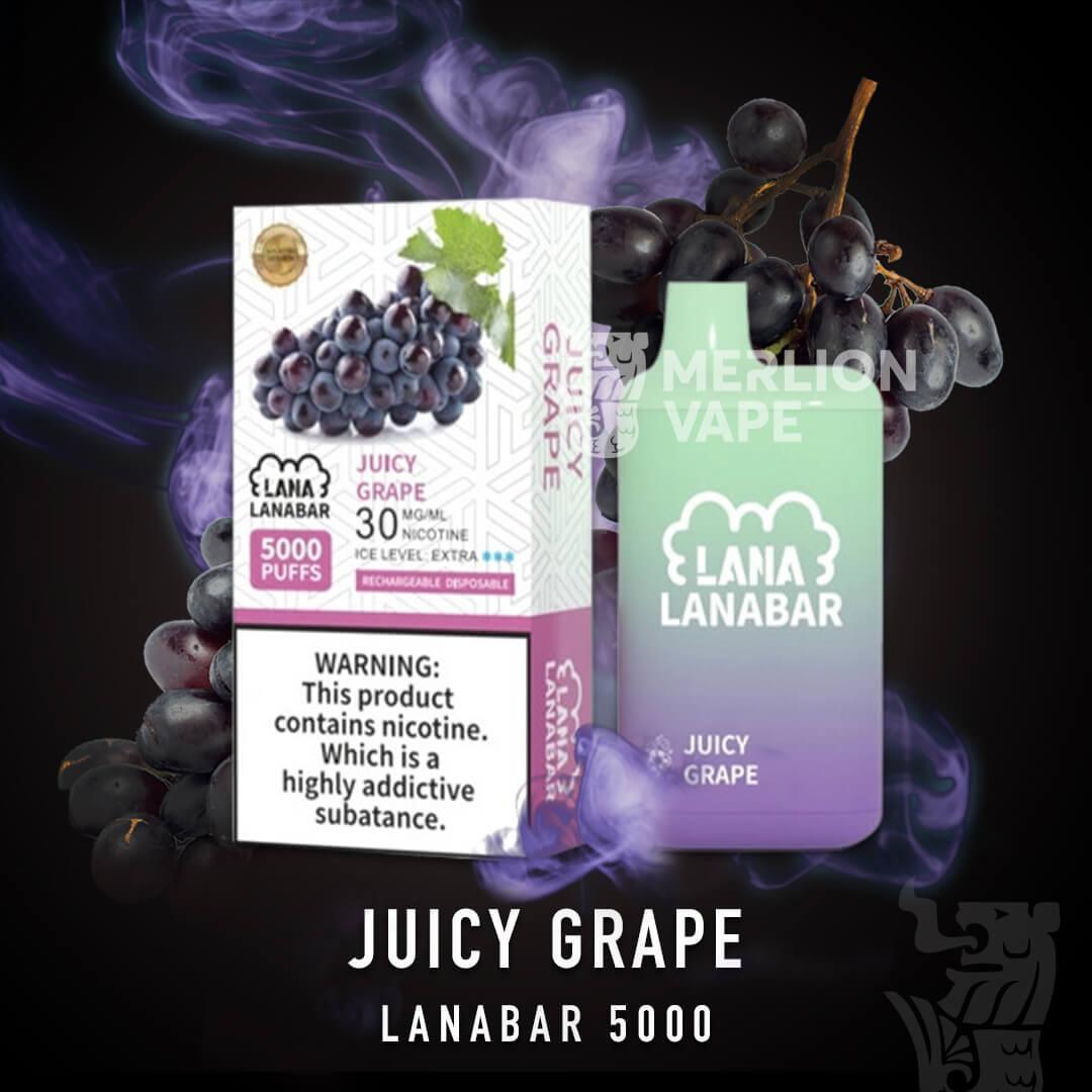 Lana Bar 5000 - SG VAPE SINGAPORE 9