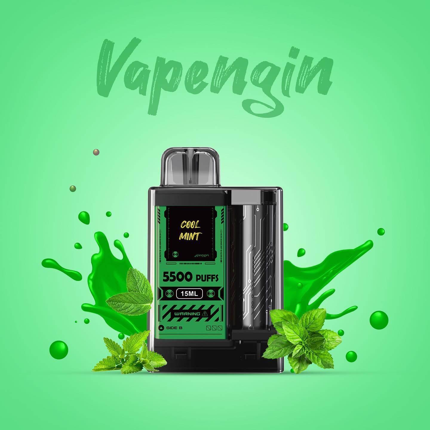 Vapengin 5500 - SG VAPE SINGAPORE 9